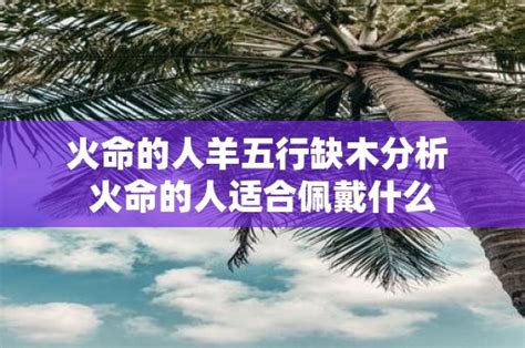 火命的人适合做什么生意|火命人干什么容易财好 属火的行业适合火命人